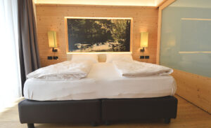 Hotel-Alp-Holiday-Dimaro-Marilleva-Winterevent-jun-1